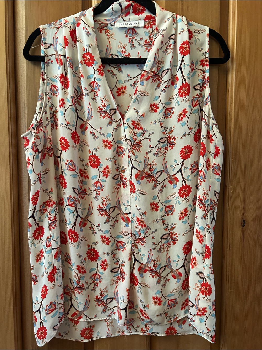 Rose & Olive Cream Floral V-Neck Sleeveless Top with Red & Light Blue Accents - Picture 1 of 11